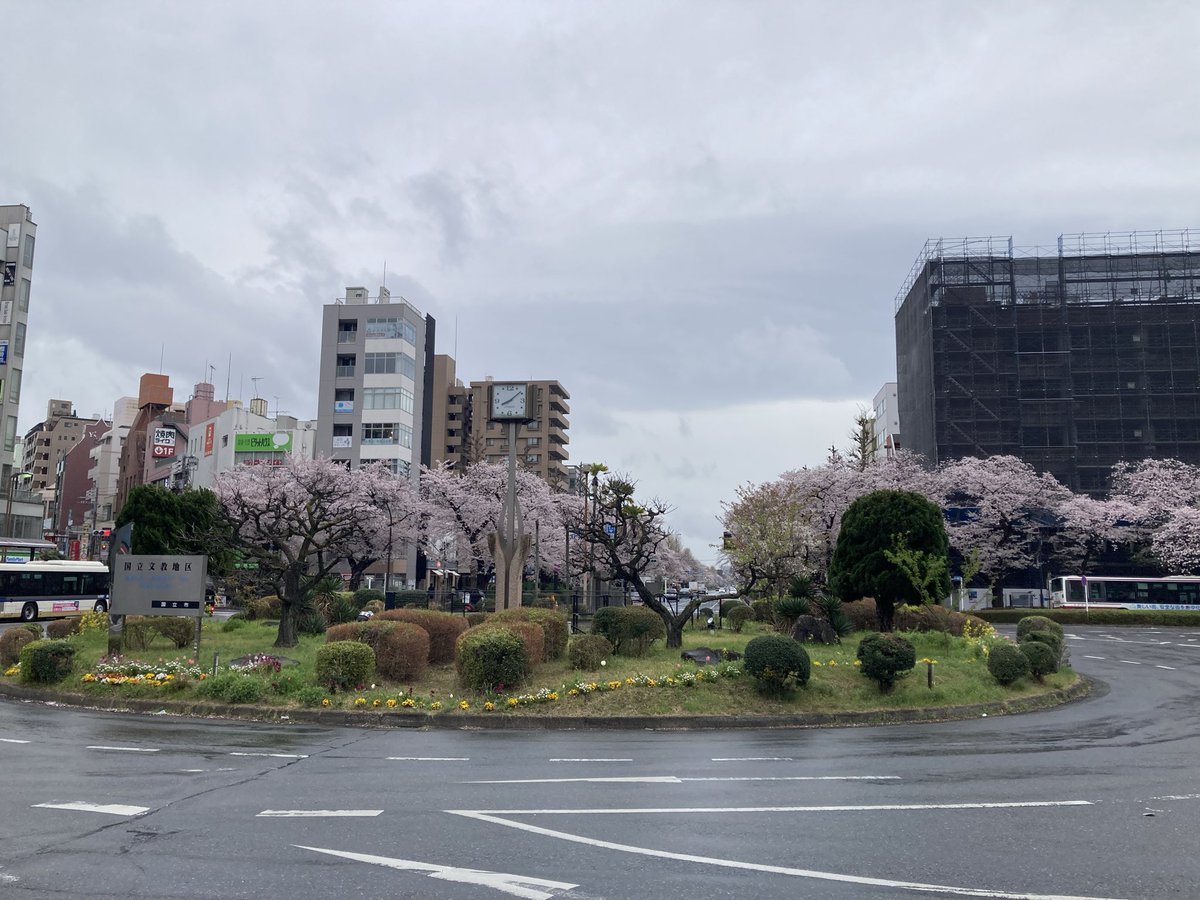 グリーン tweet media