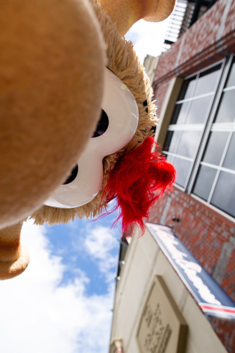 Your Bar's Patron Saint ⚜️ tweet media