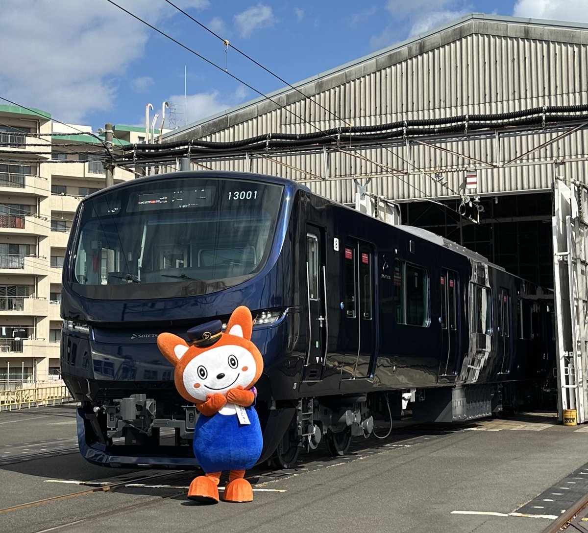 豊岡　真澄 tweet media