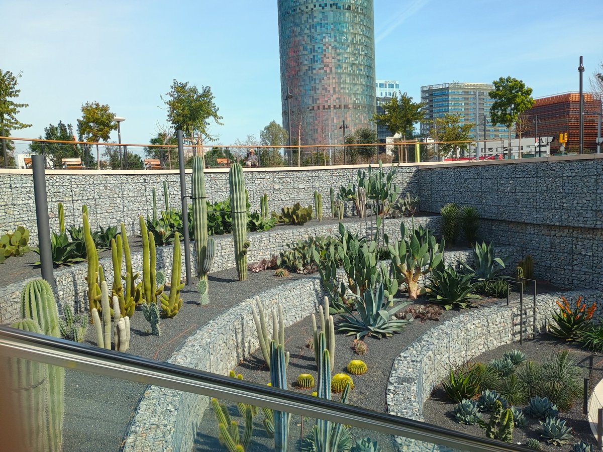 Nicia 🌍🚲🚋🚍🚇🌳 tweet media