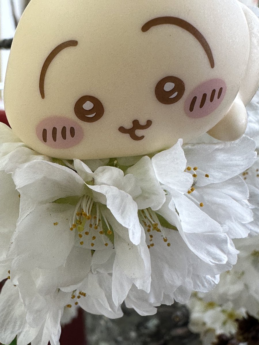 真夏🌻 tweet media