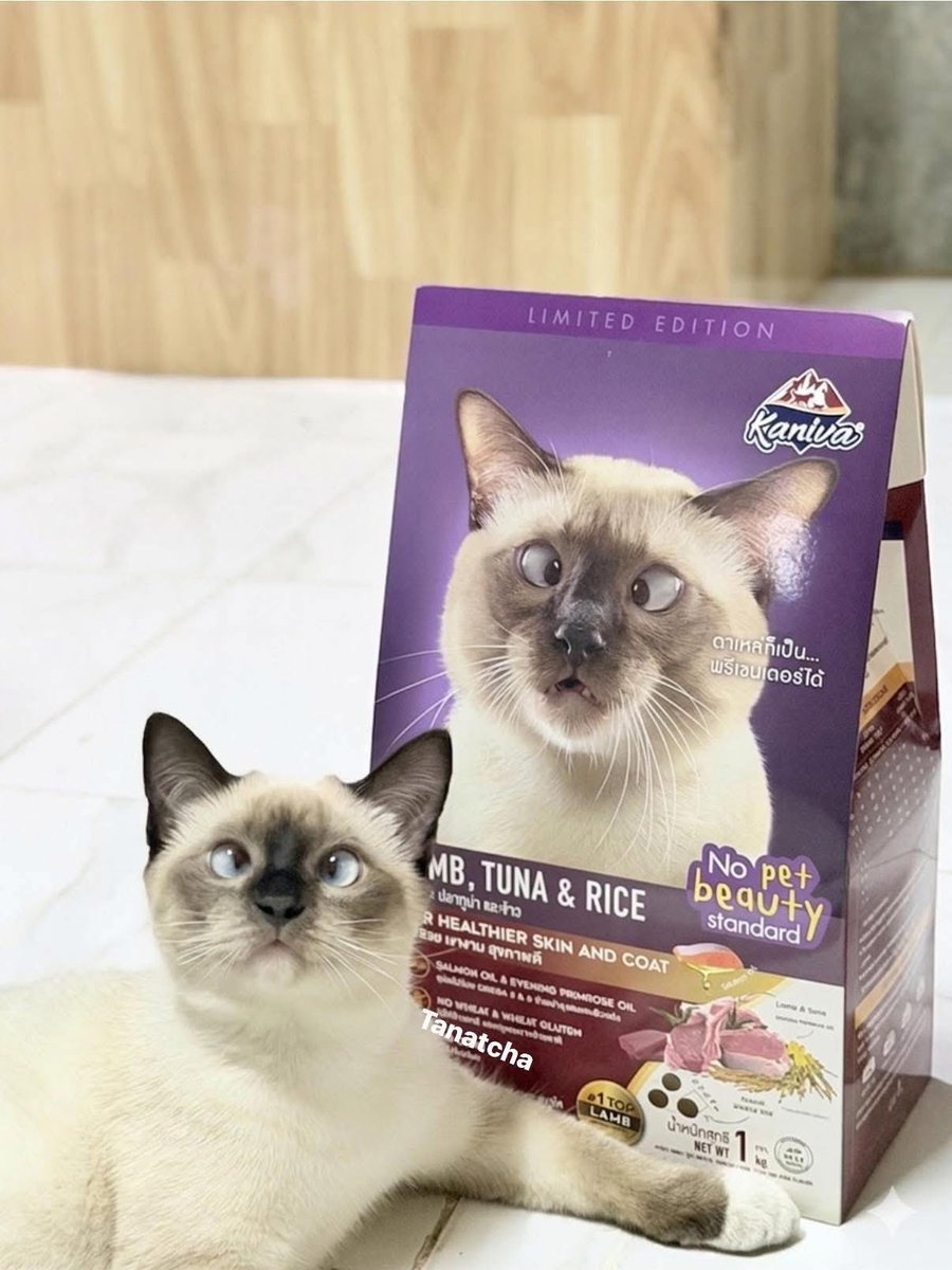 •บาร์จเฉยๆ• tweet media