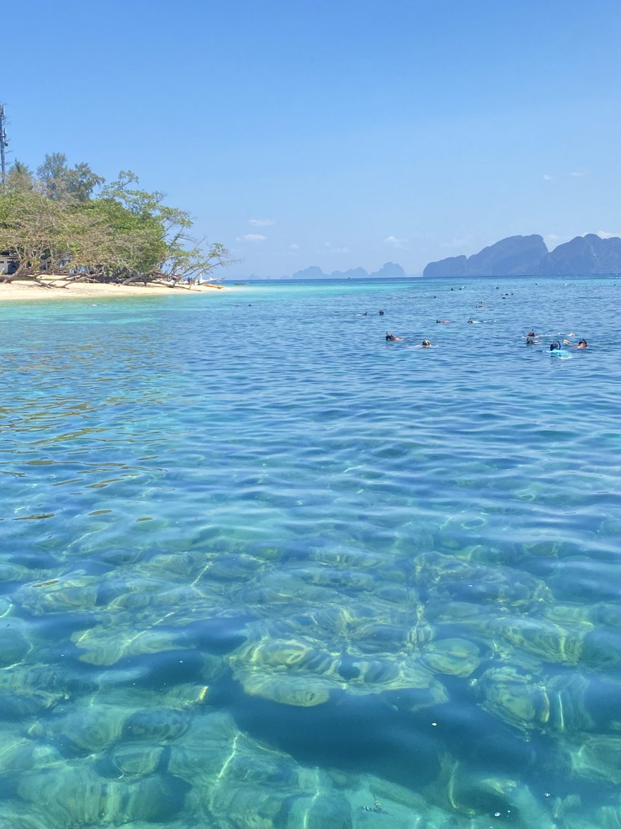 Adaicelatte lll tweet media