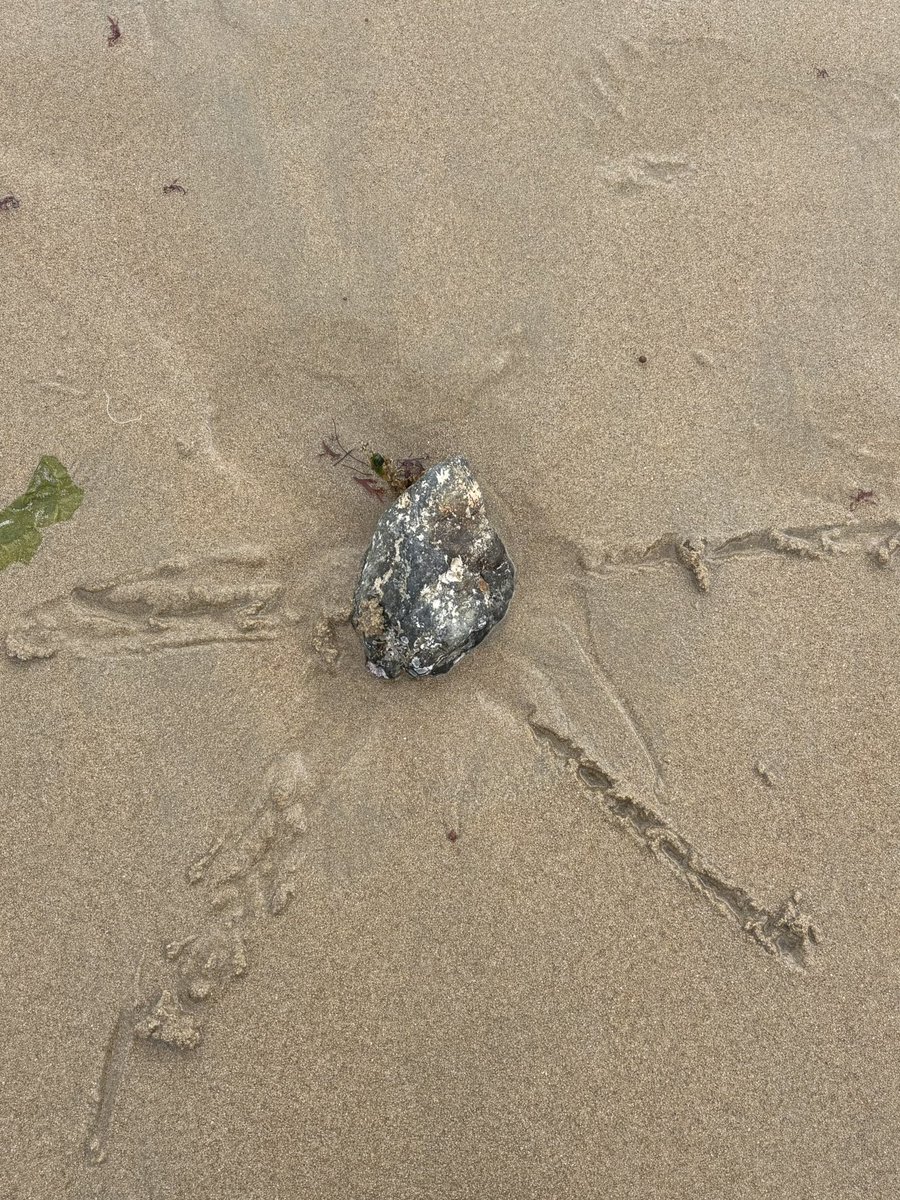 에리드 바다라고 생각하고