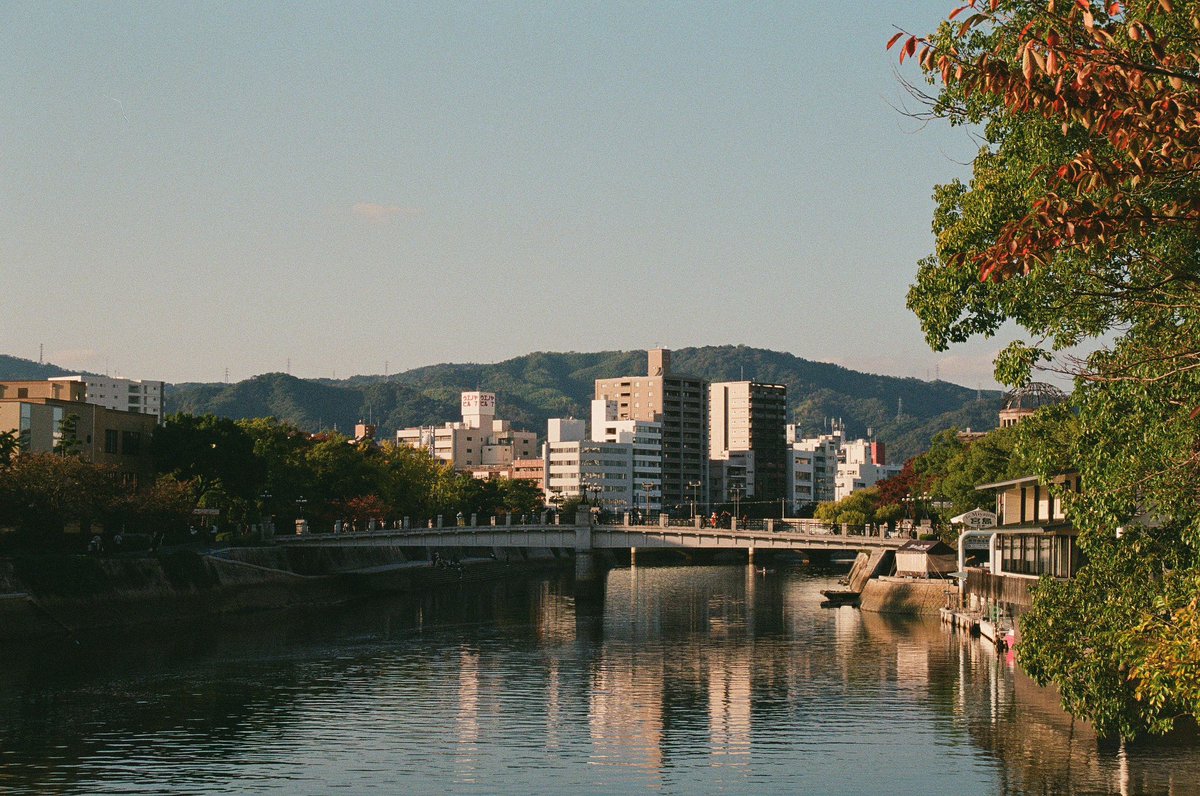 Zack Williams tweet media