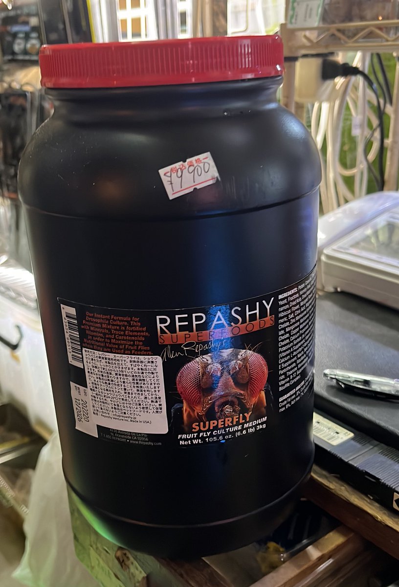 ＠eggrep2 tweet media