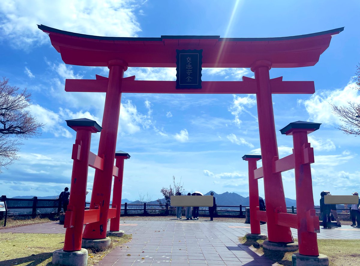 ゴリちゃむ tweet media