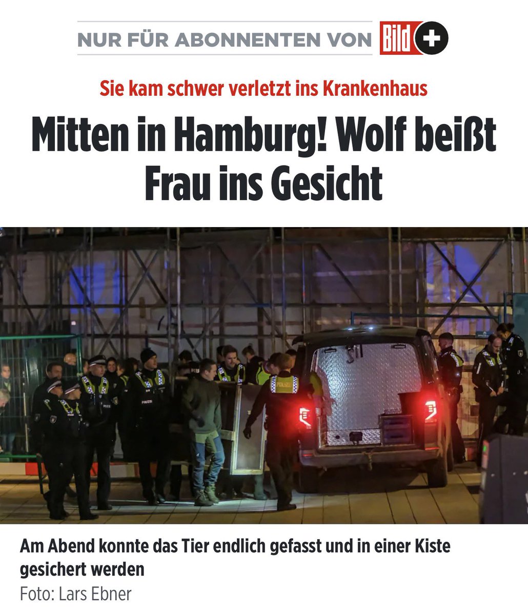 Claudio Zanetti tweet media