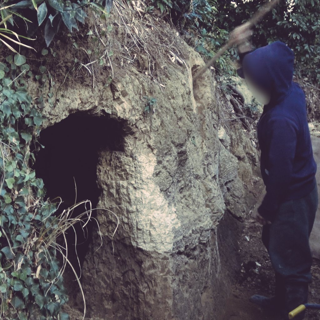 ちーとん。 tweet media