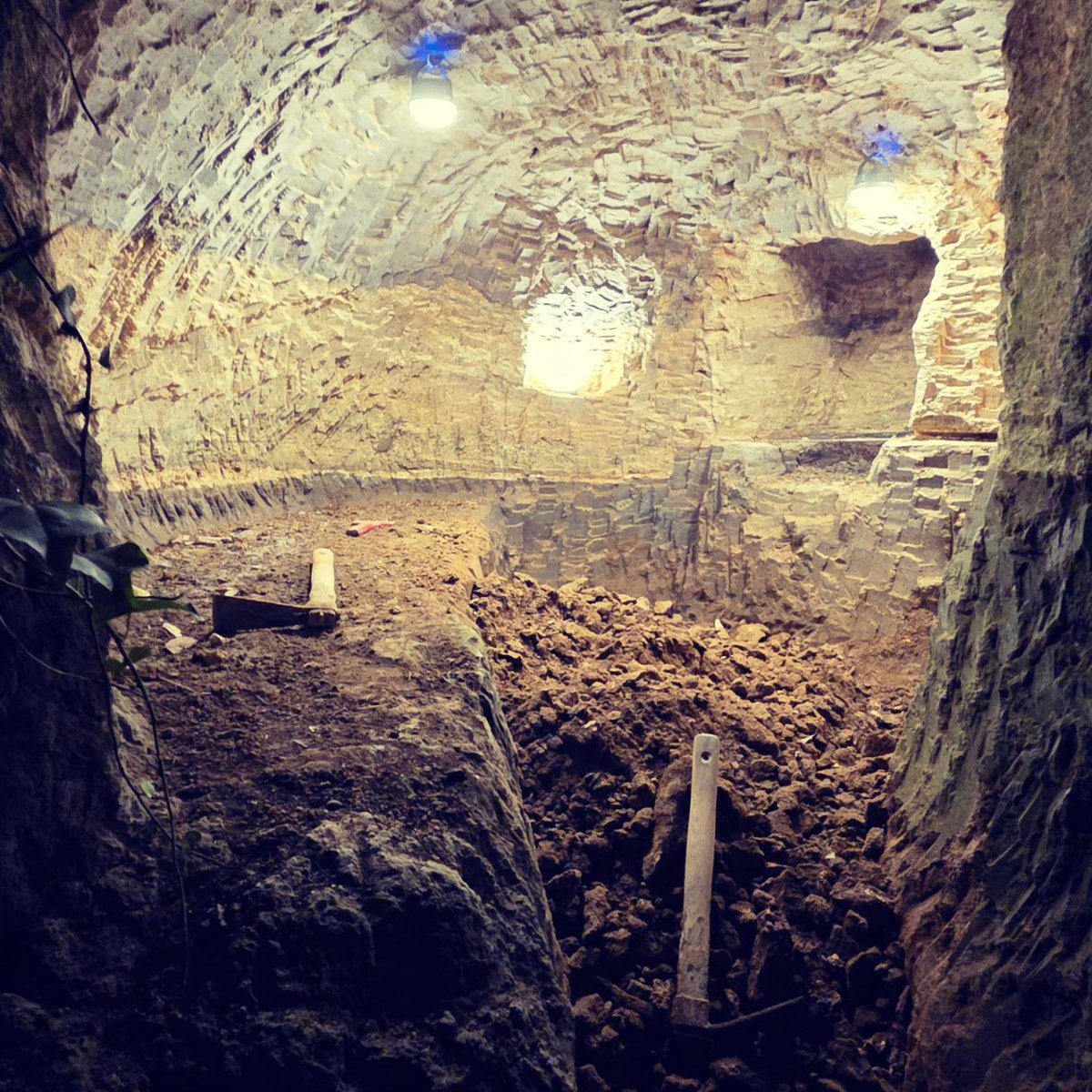 ちーとん。 tweet media