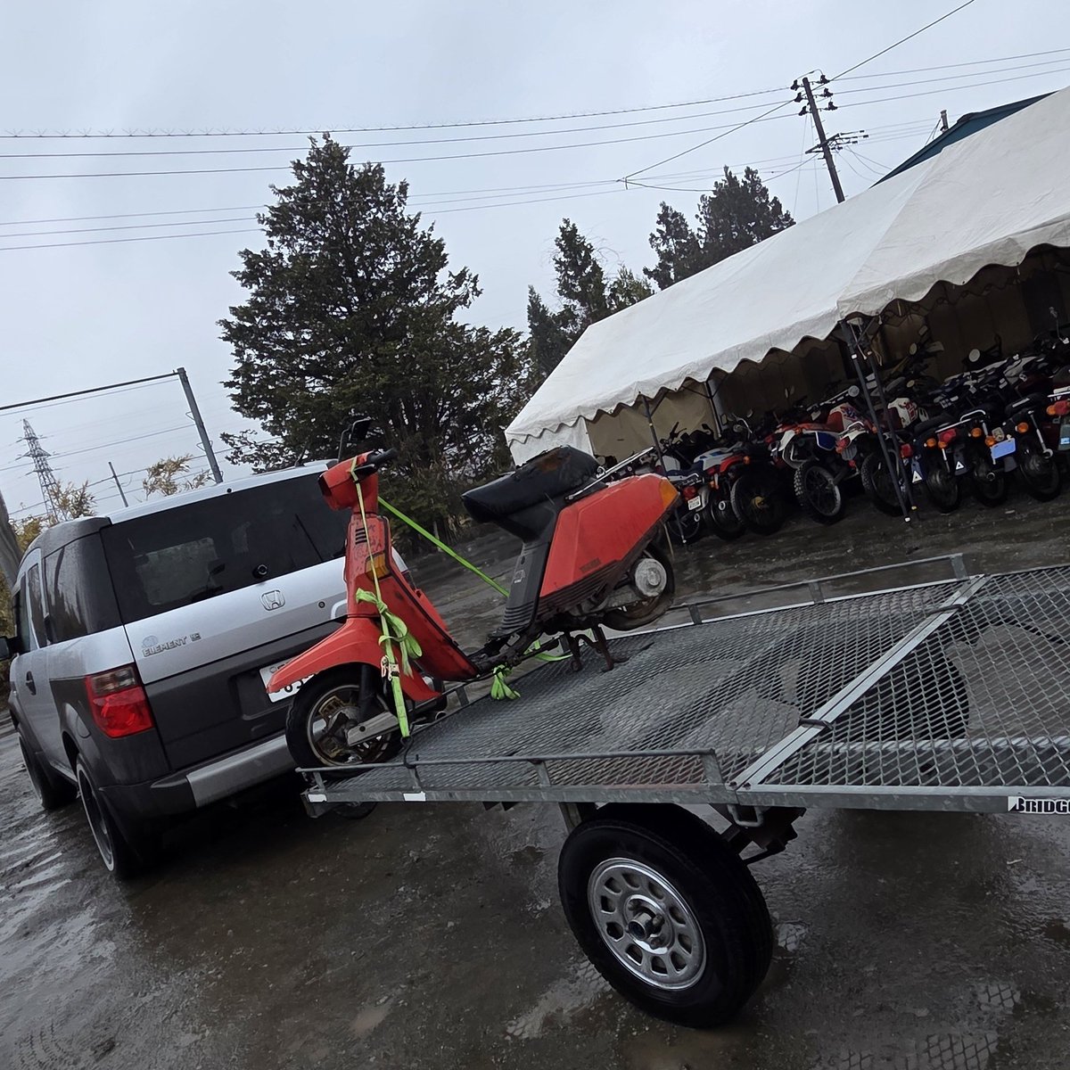 りゅ～せ～(ｶﾞﾗｸﾀｻﾙﾍﾞｰｼﾞ) tweet media