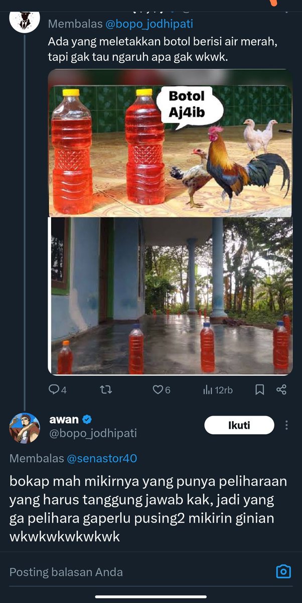 Zeropanda🐼 tweet media