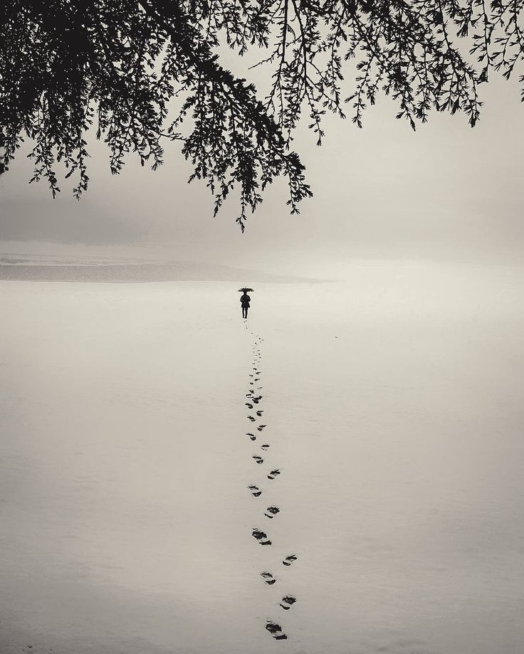 غربــة tweet media