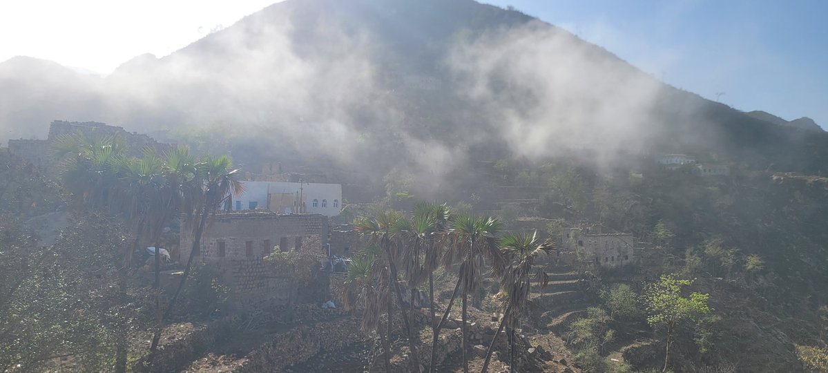 محمــد الحديــدي || Mo_Alhdydy tweet media