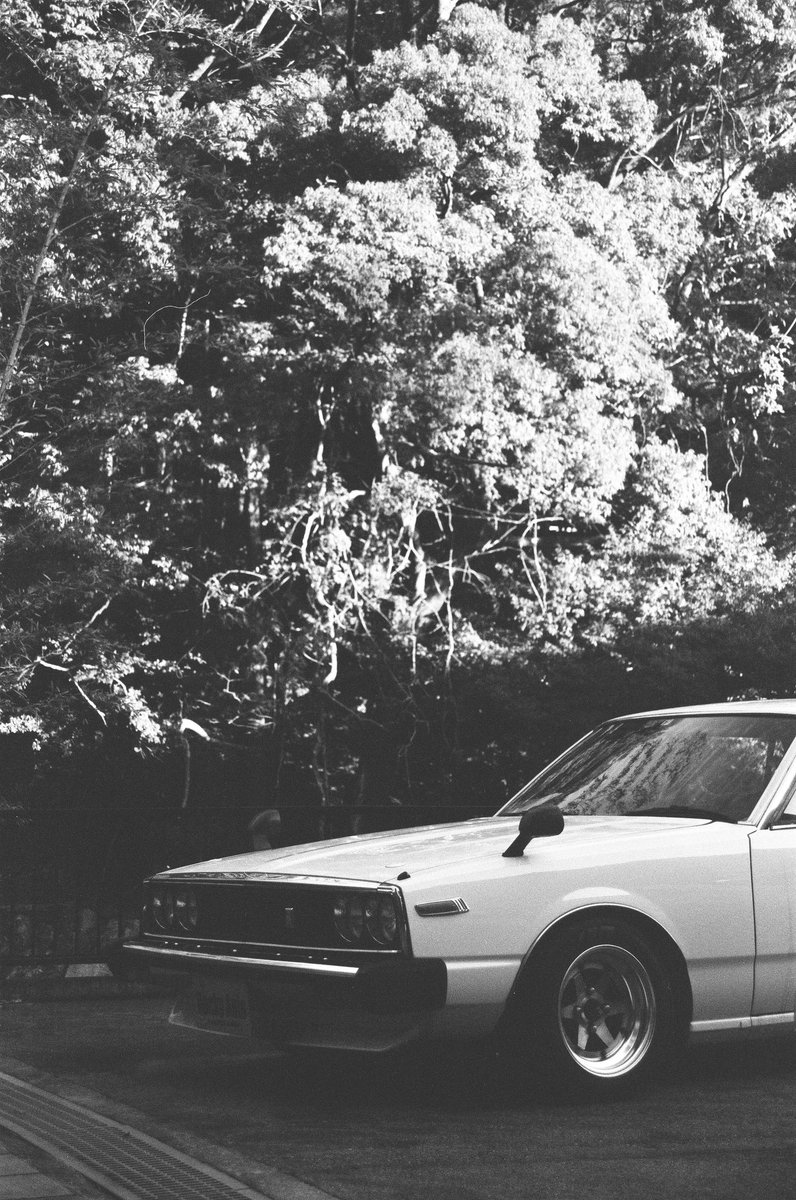 Zack Williams tweet media