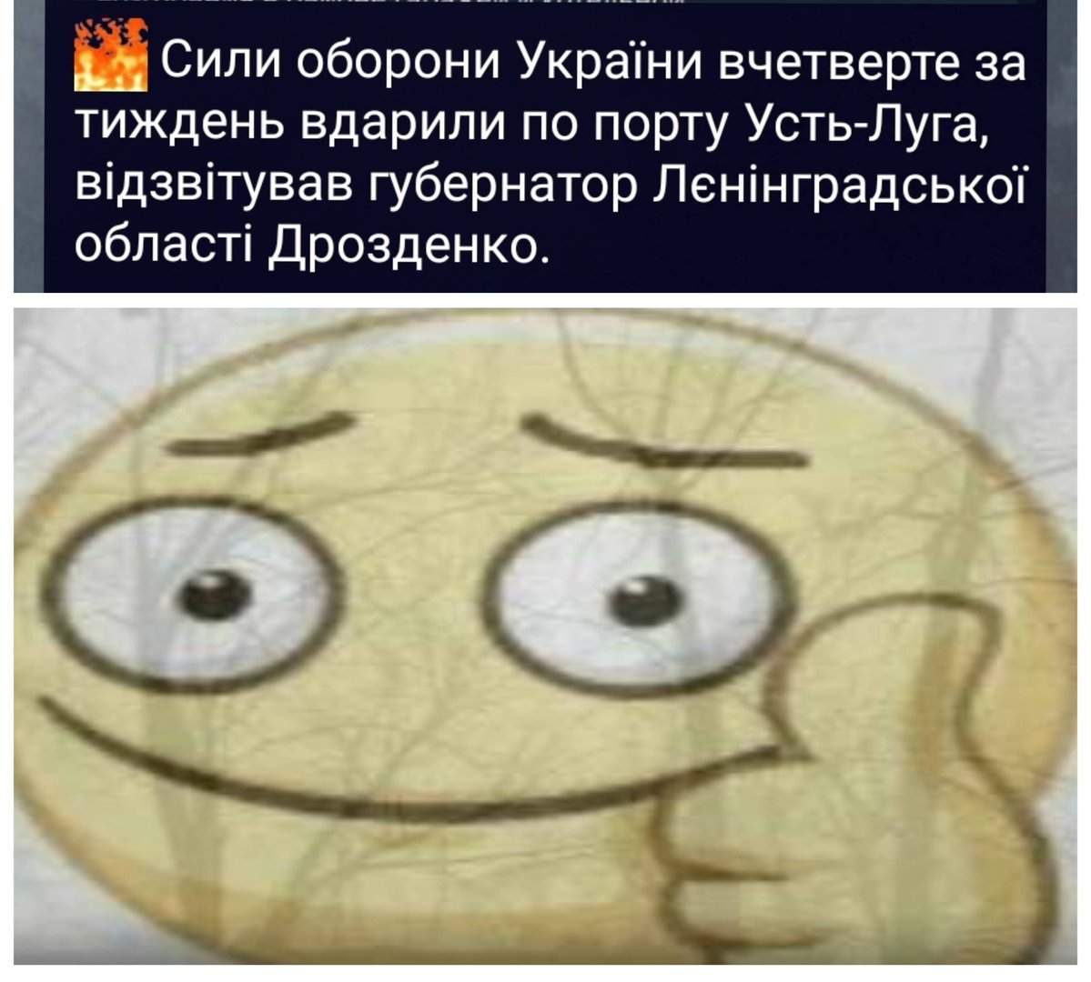 SЕREDA 🇺🇦 Art tweet media