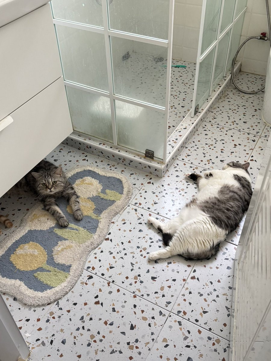 Keam🎈 tweet media