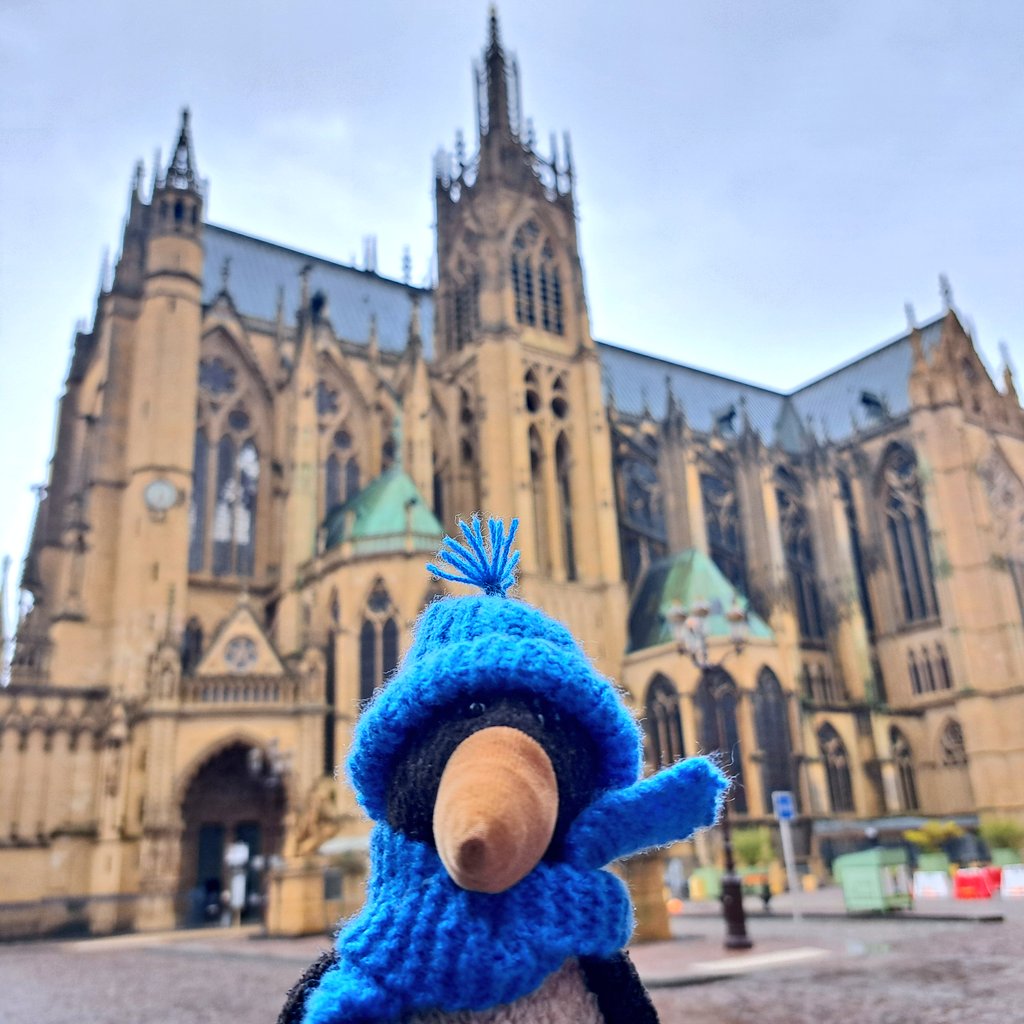 Ottokar 🐧 tweet media