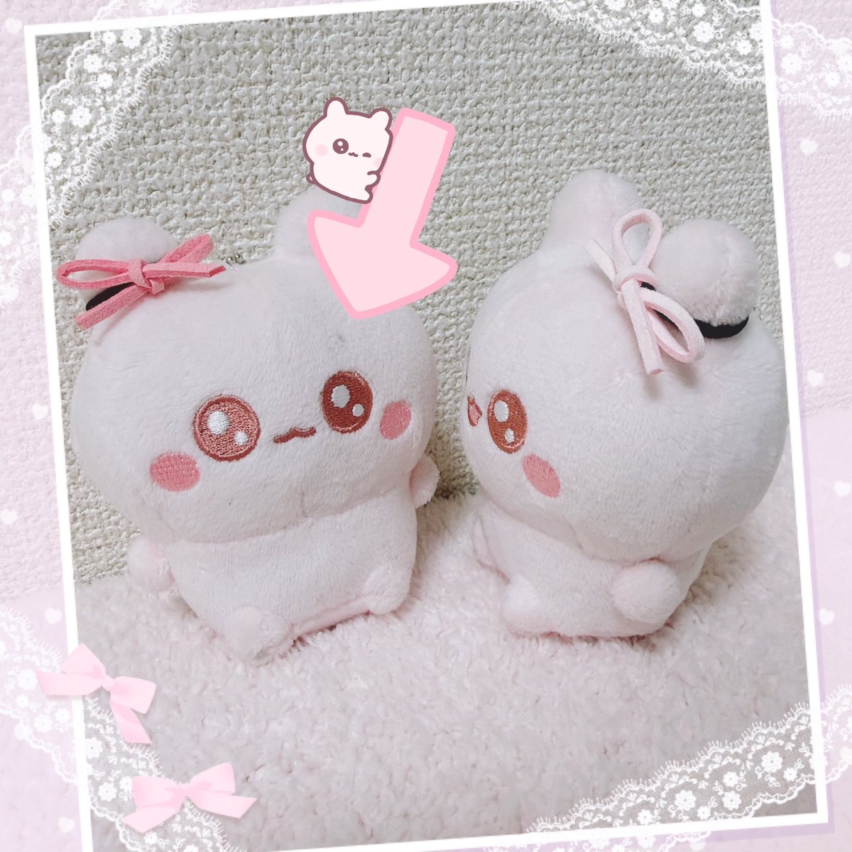 うちゃ ぬいぐるみ（口開き） こつめちゃん 【公式通販】