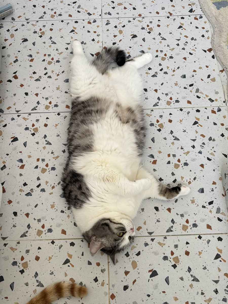 Keam🎈 tweet media