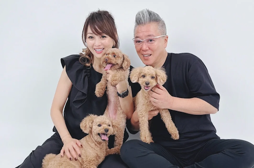 Entame Plex tweet media