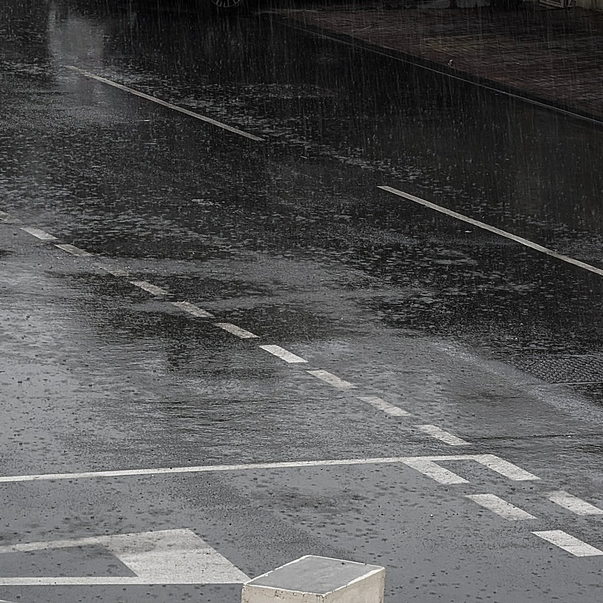 𝗆𝖺 tweet media