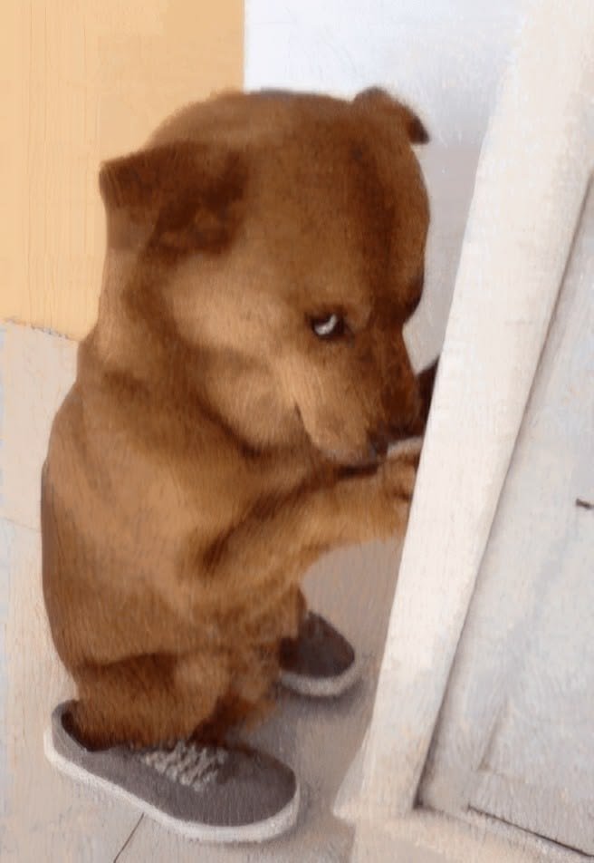 Kanara Thalita Putri tweet media