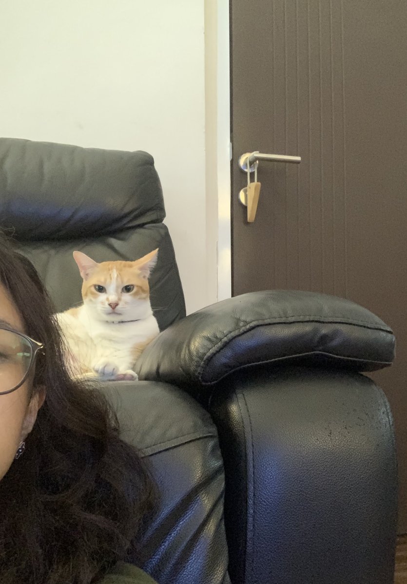 rahil ❀*ੈ‧₊˚⋆｡˚ tweet media