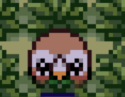 hans bbl tweet media