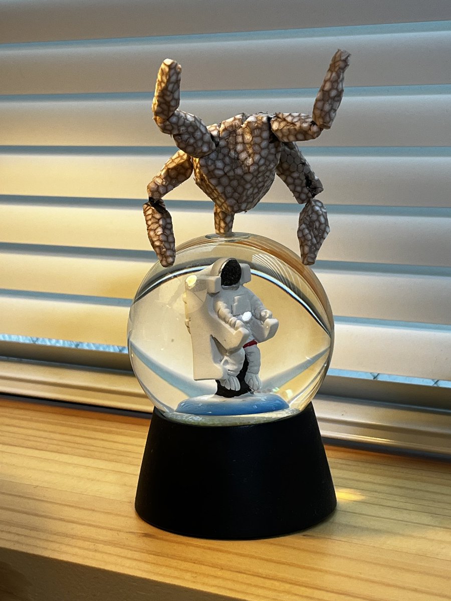 かな太 tweet media