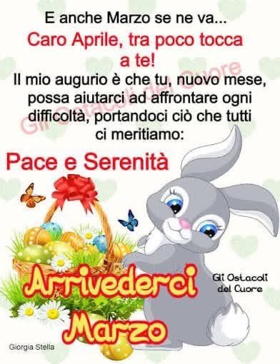 danila fiorito🦄🦄🪸🪸 tweet media