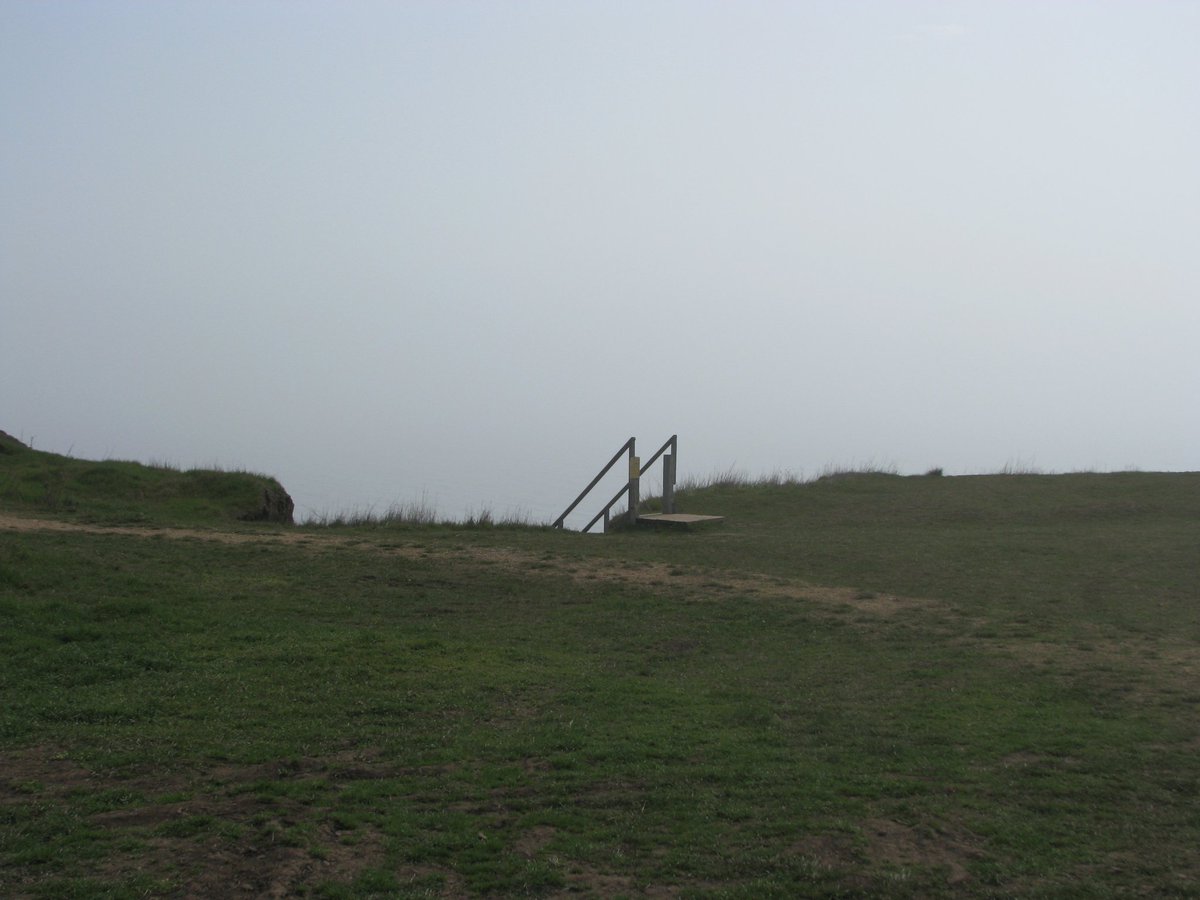 nilin 🎬 tweet media