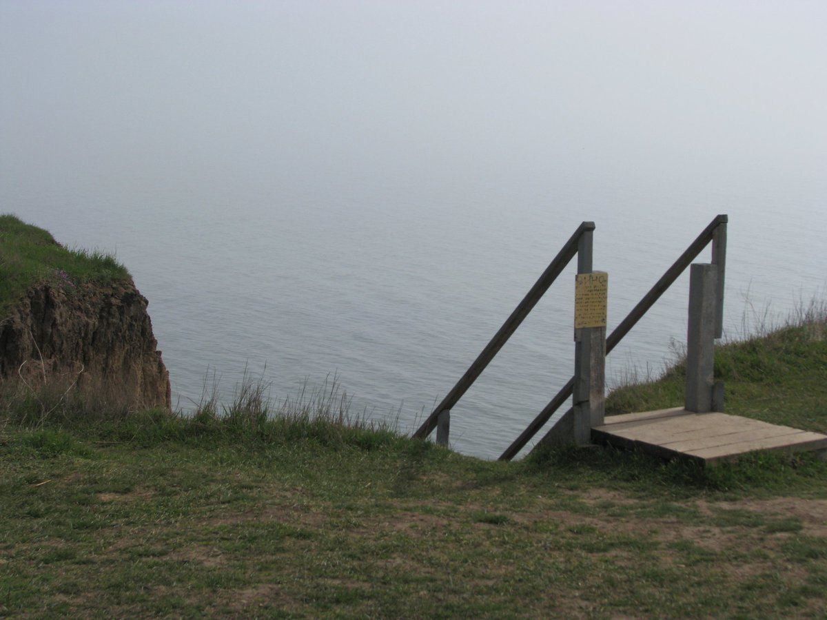 nilin 🎬 tweet media