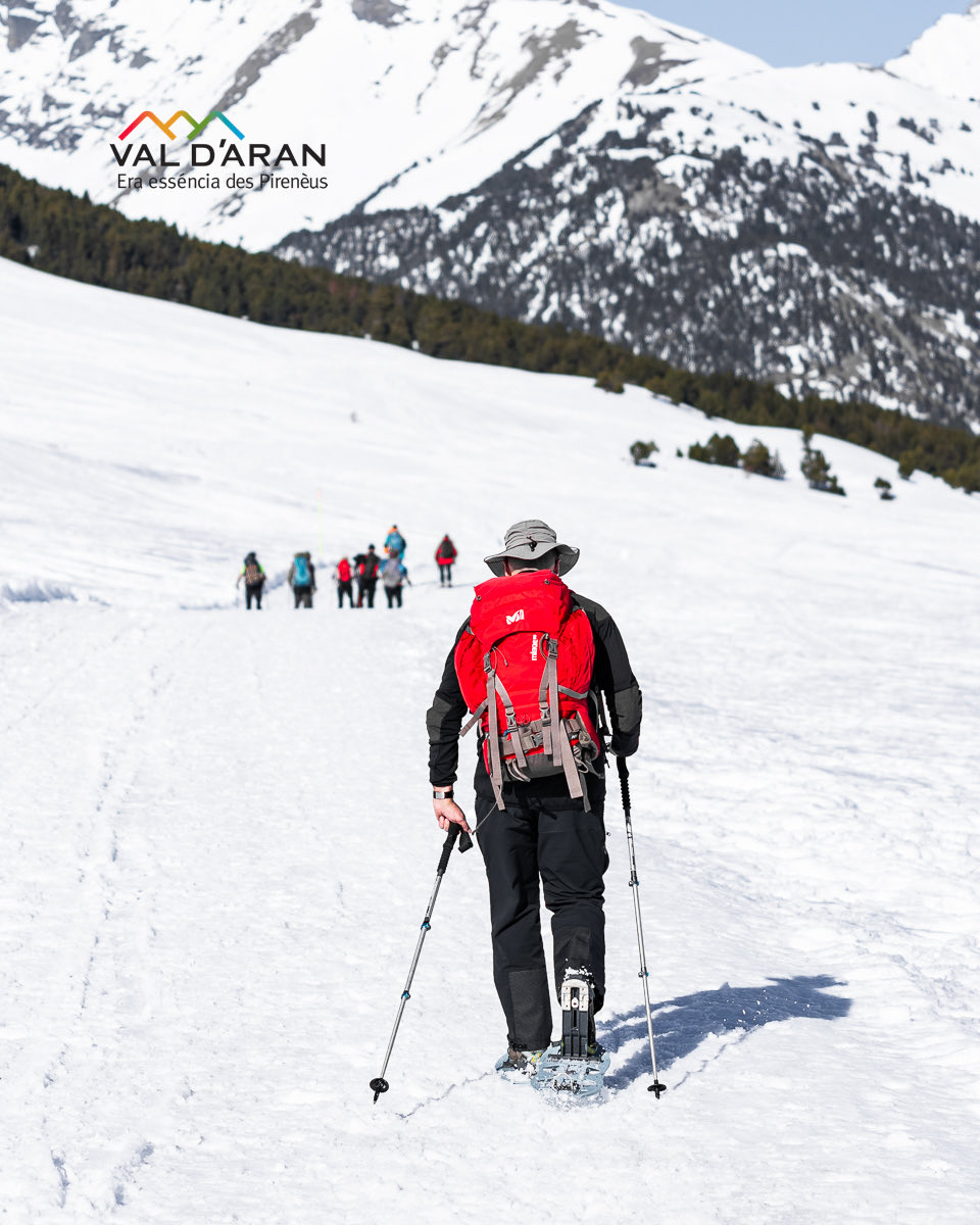 Val d'Aran tweet media