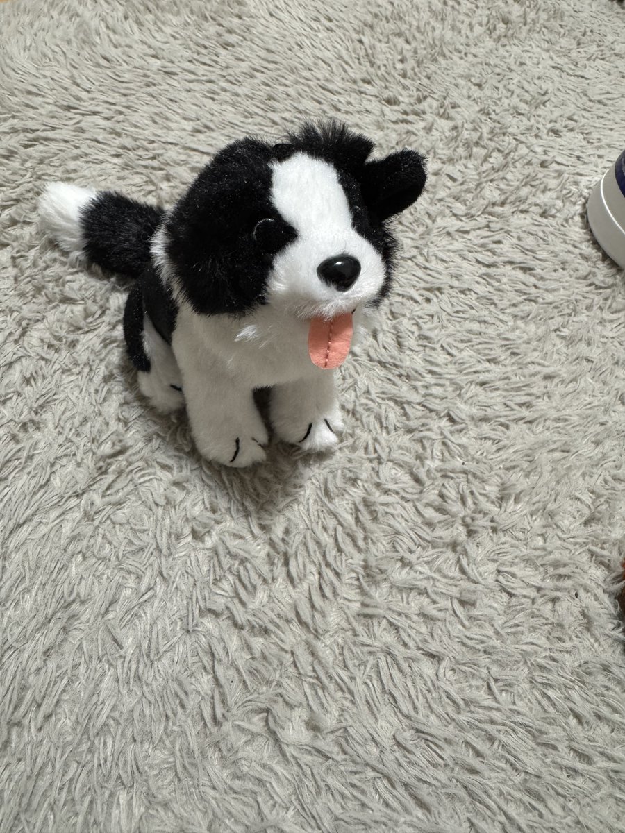 ちゃむ tweet media