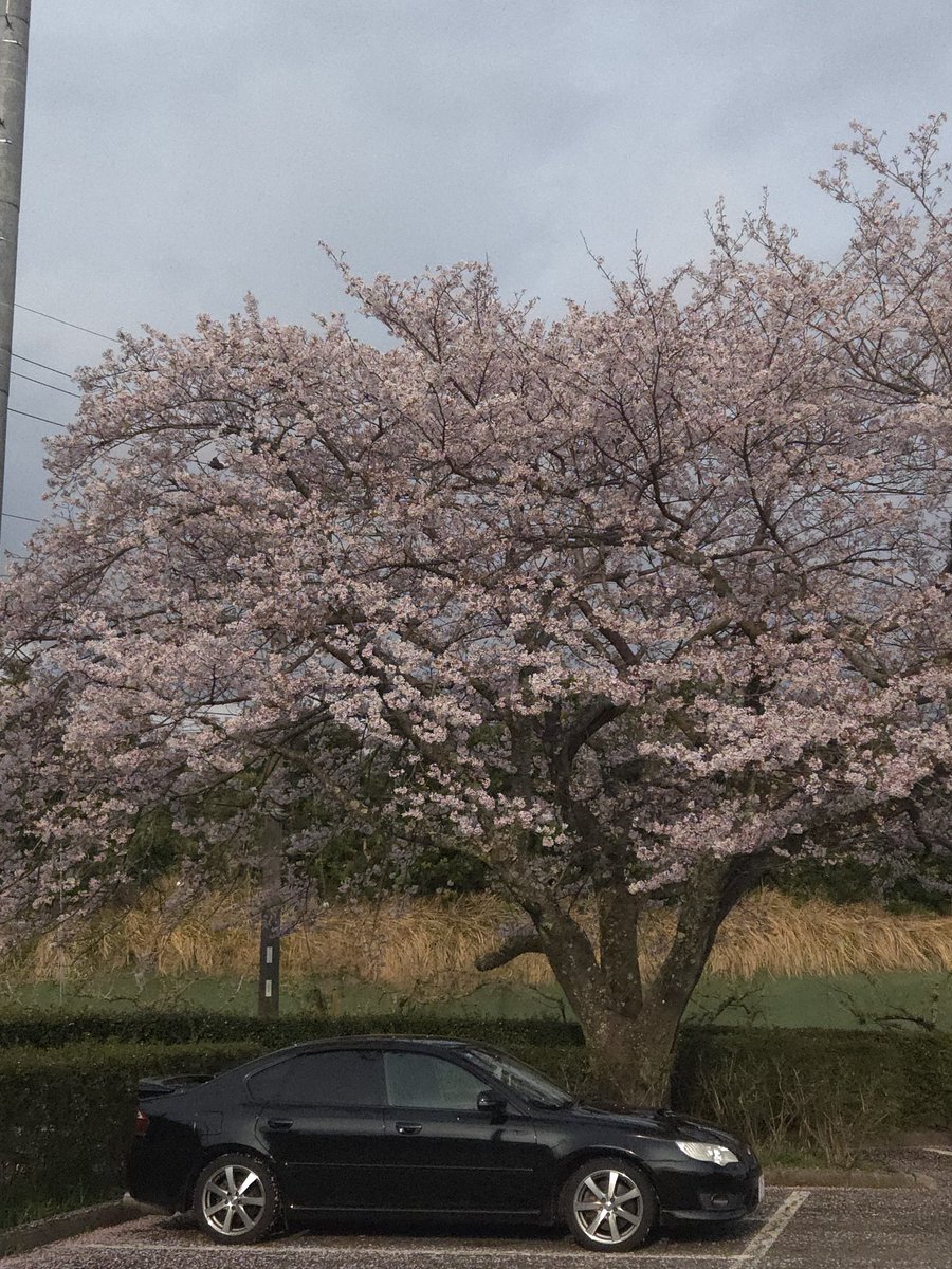 𝙺 𝙾 𝙷 𝙰😈 tweet media