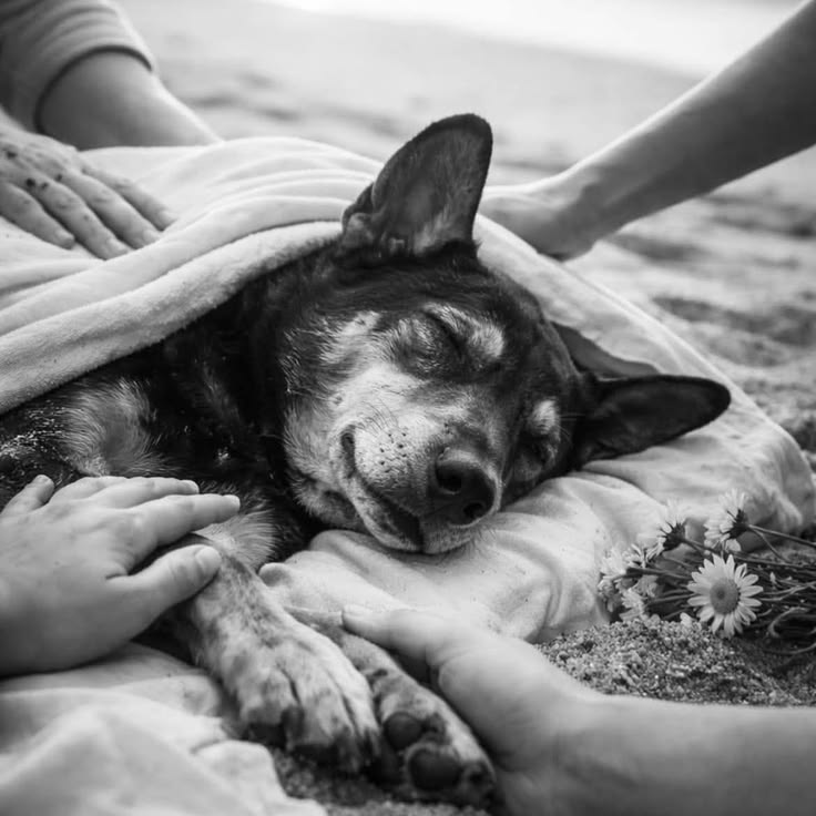 Beatriz Aguiar 🏳🏳🏳 tweet media