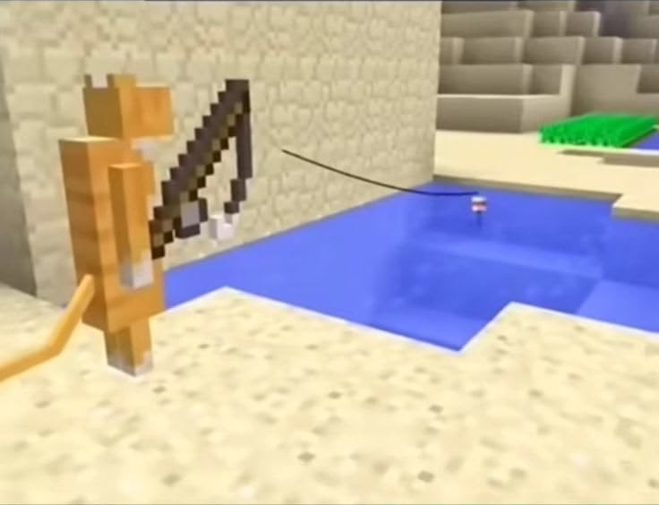 쮸냥이 tweet media