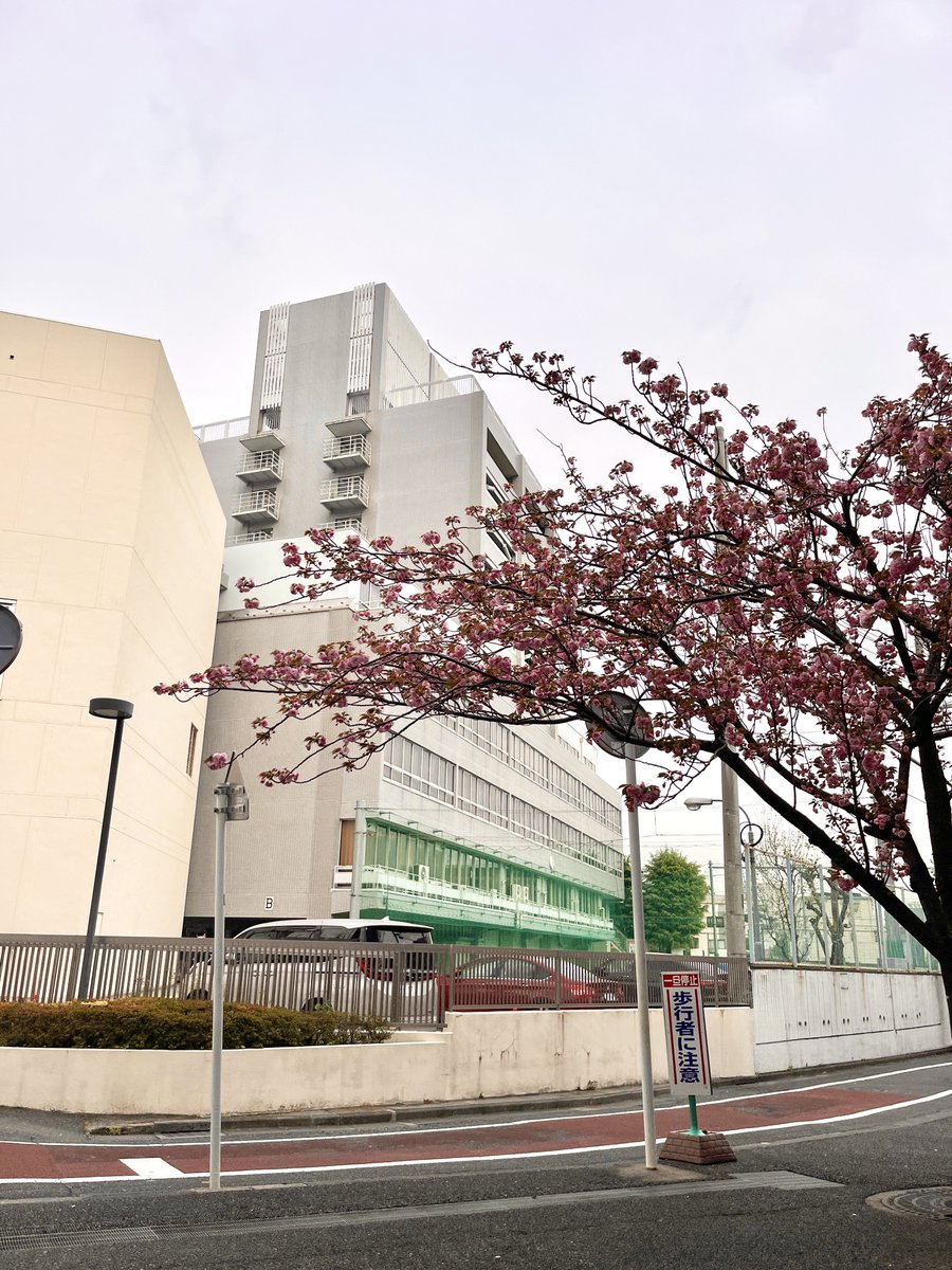 川鍋 朝香 tweet media