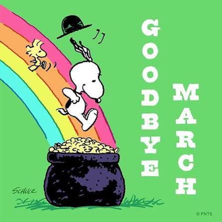 Kiantay Chambers tweet media