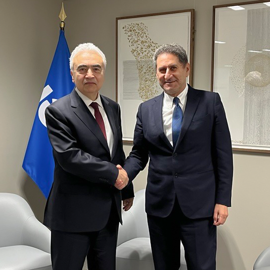 Fatih Birol tweet media