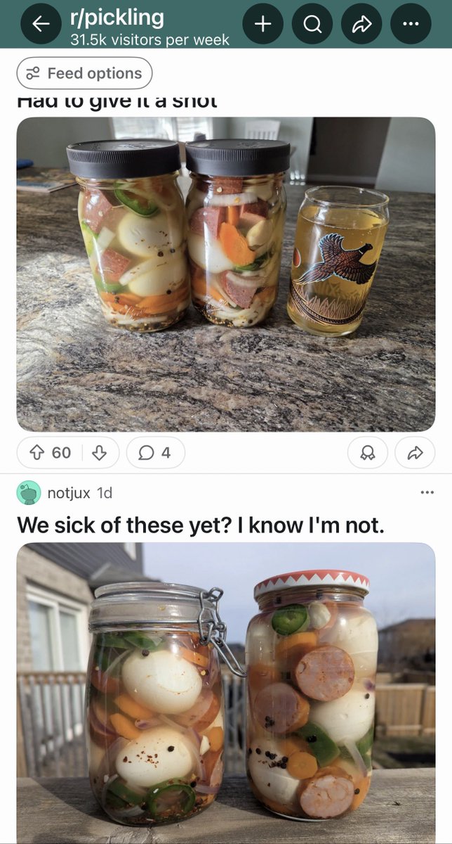 Ⓜ️atesola🐦‍⬛ tweet media