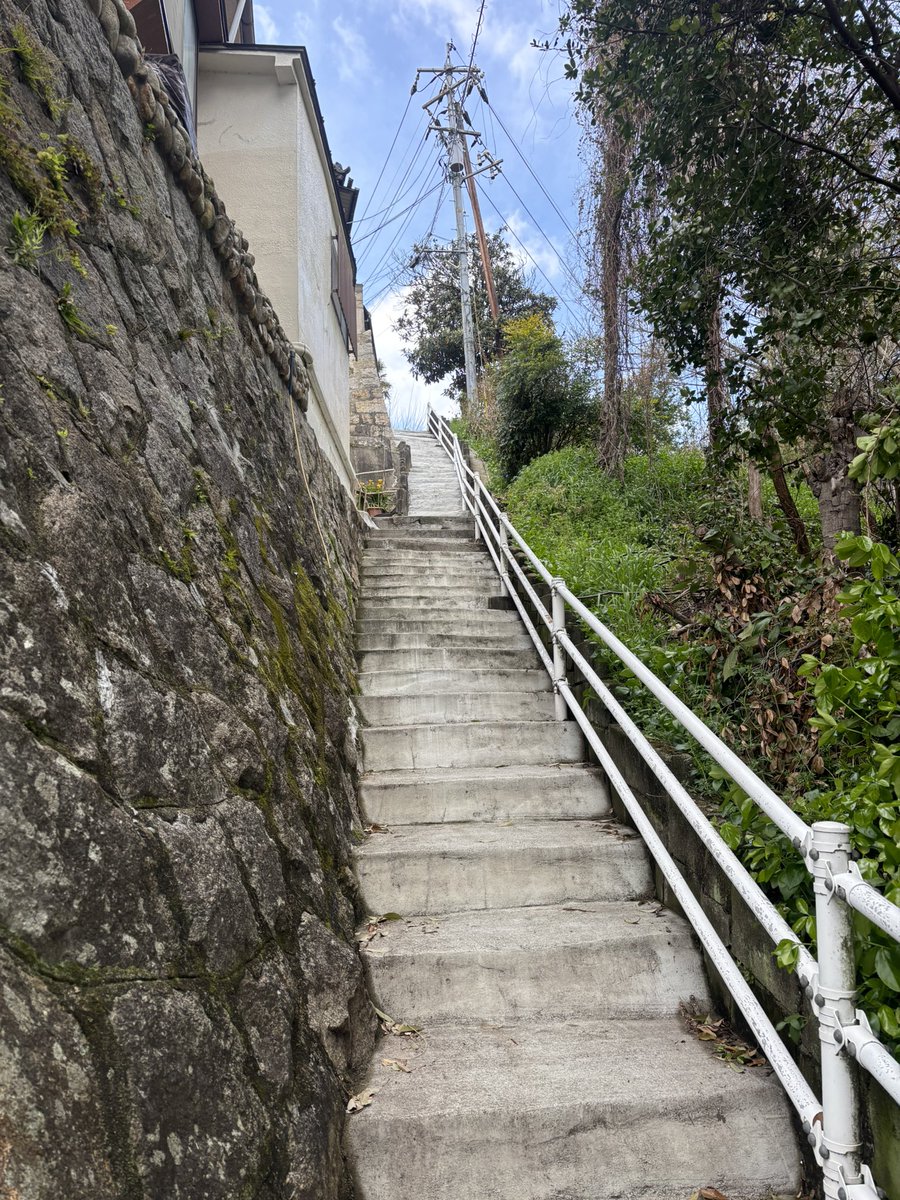 マサカツ tweet media