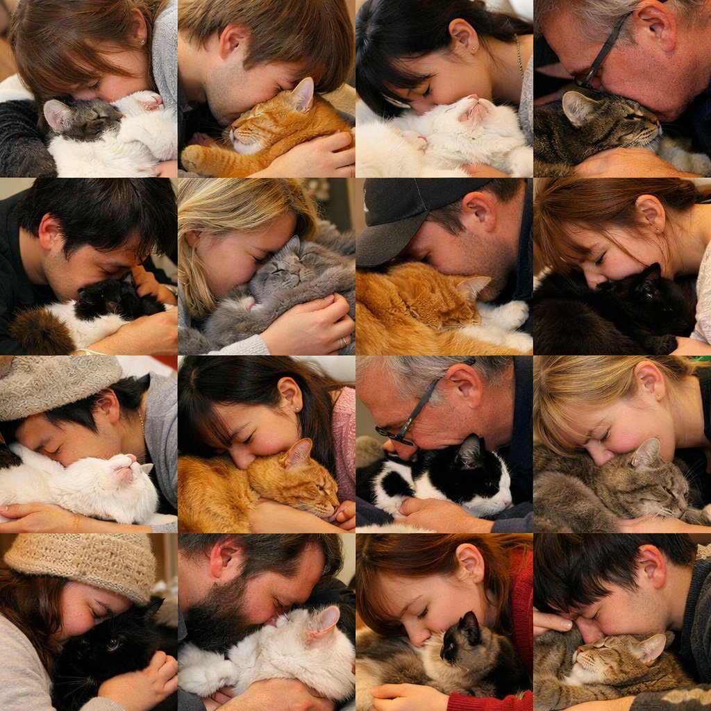 vape 電子タバコ 専門店 フレーバーキッチン tweet media