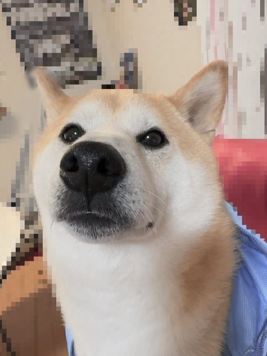 KILALA🎡 tweet media