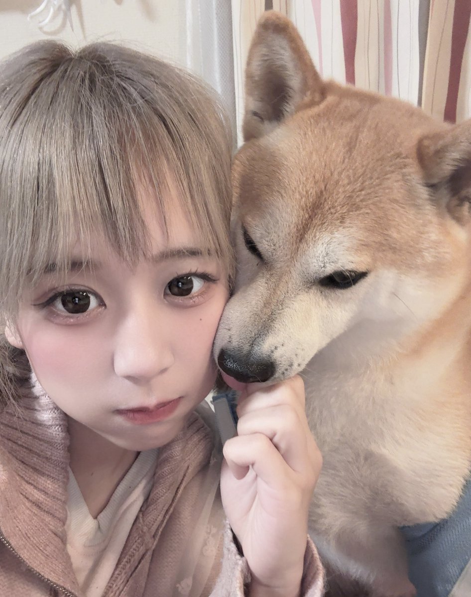 KILALA🎡 tweet media