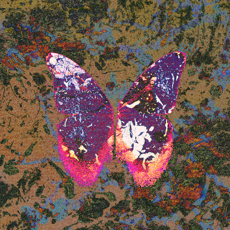 NINFA BOT tweet media