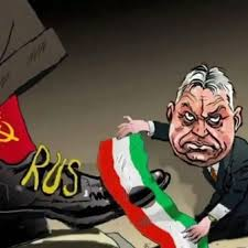 Serge 🇺🇦 tweet media