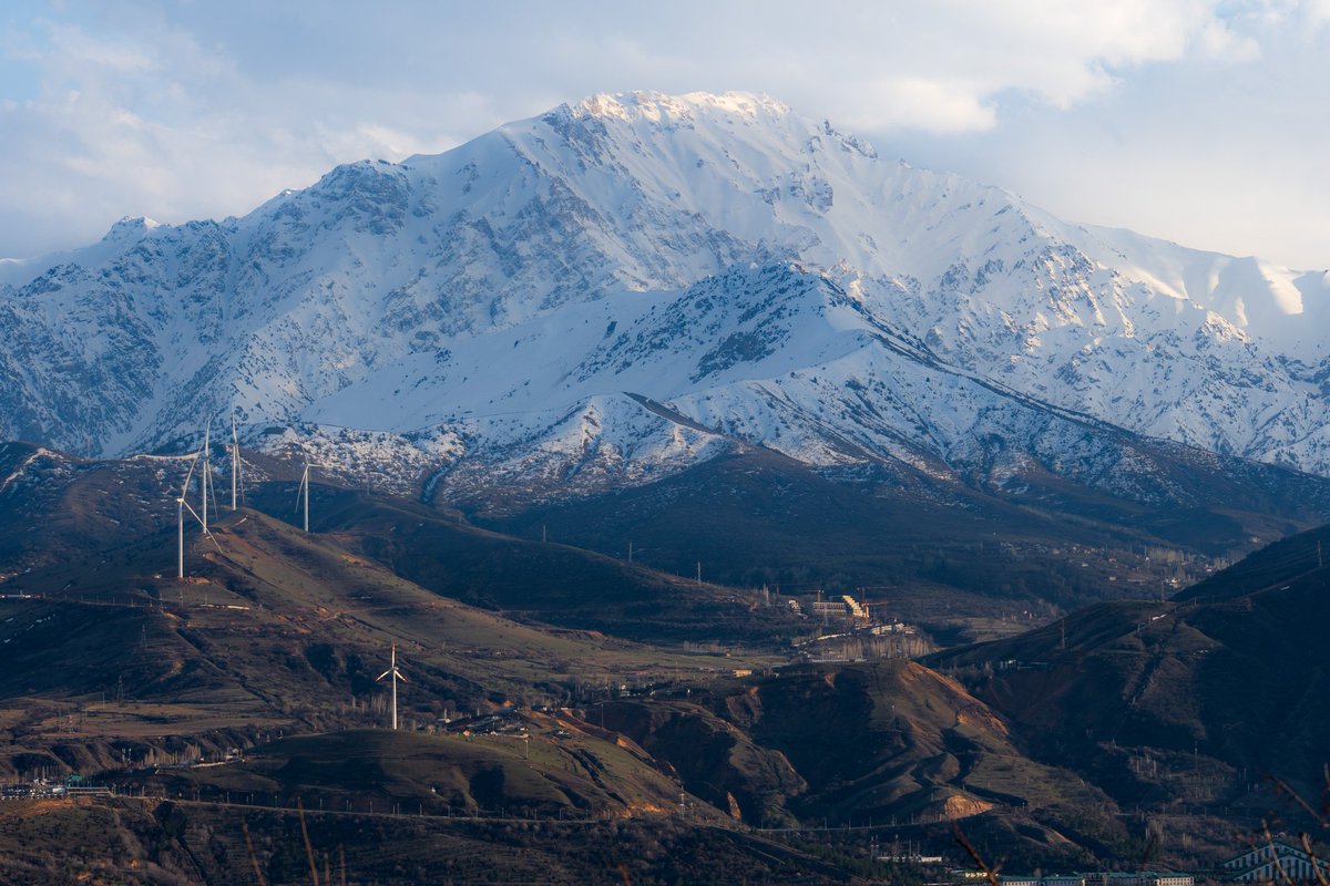 occasional_dreamer tweet media