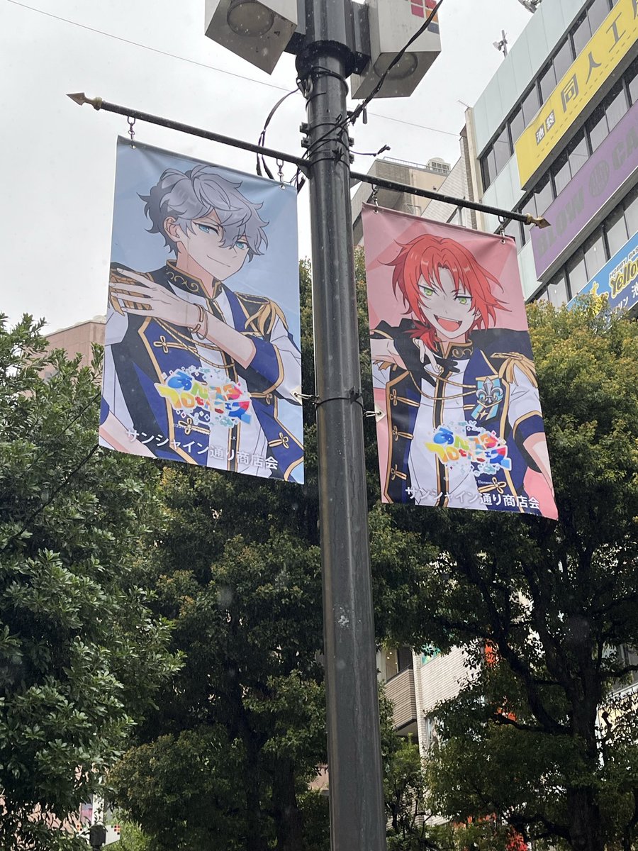 ココ@ぬいと生活 tweet media